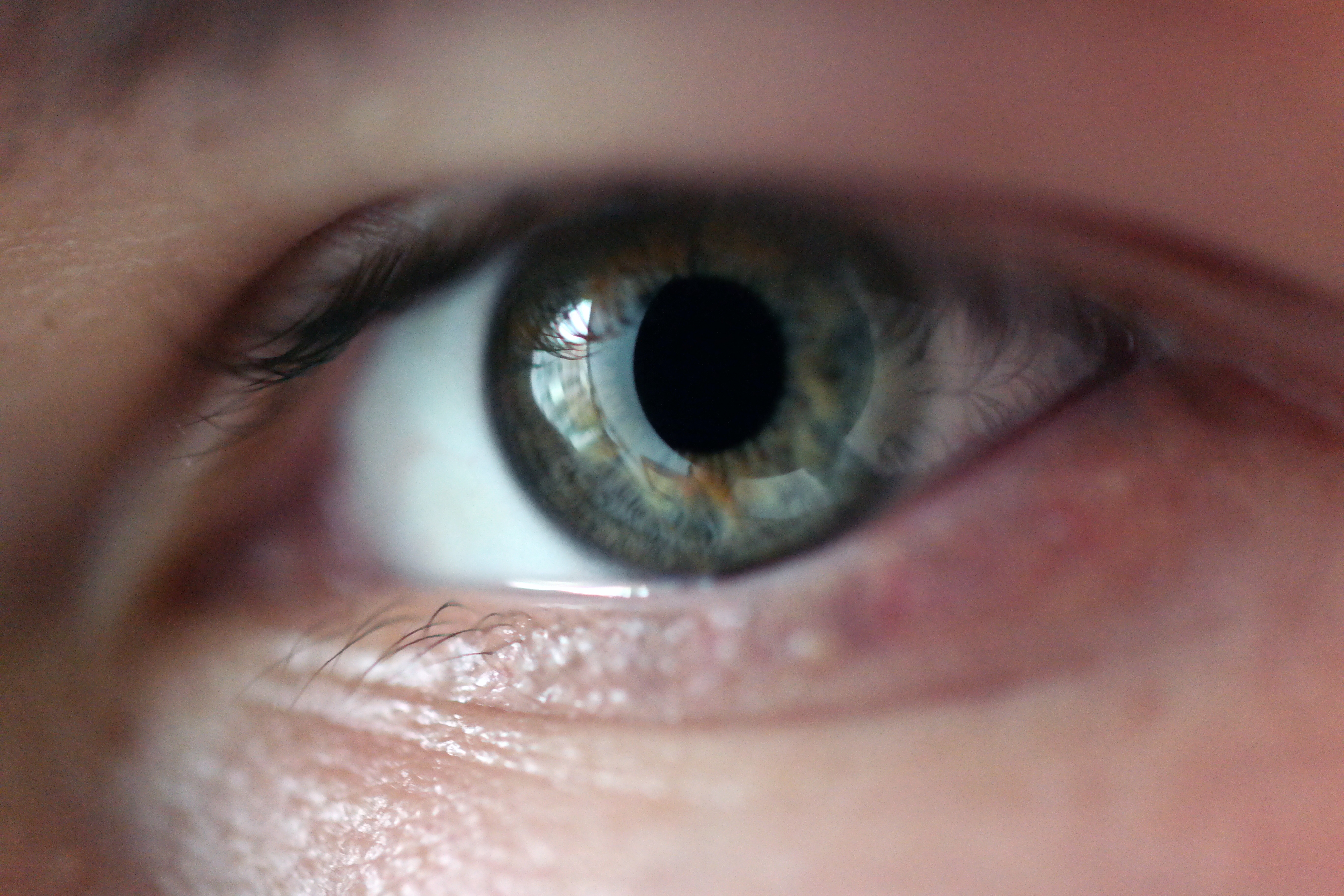 eye-551505